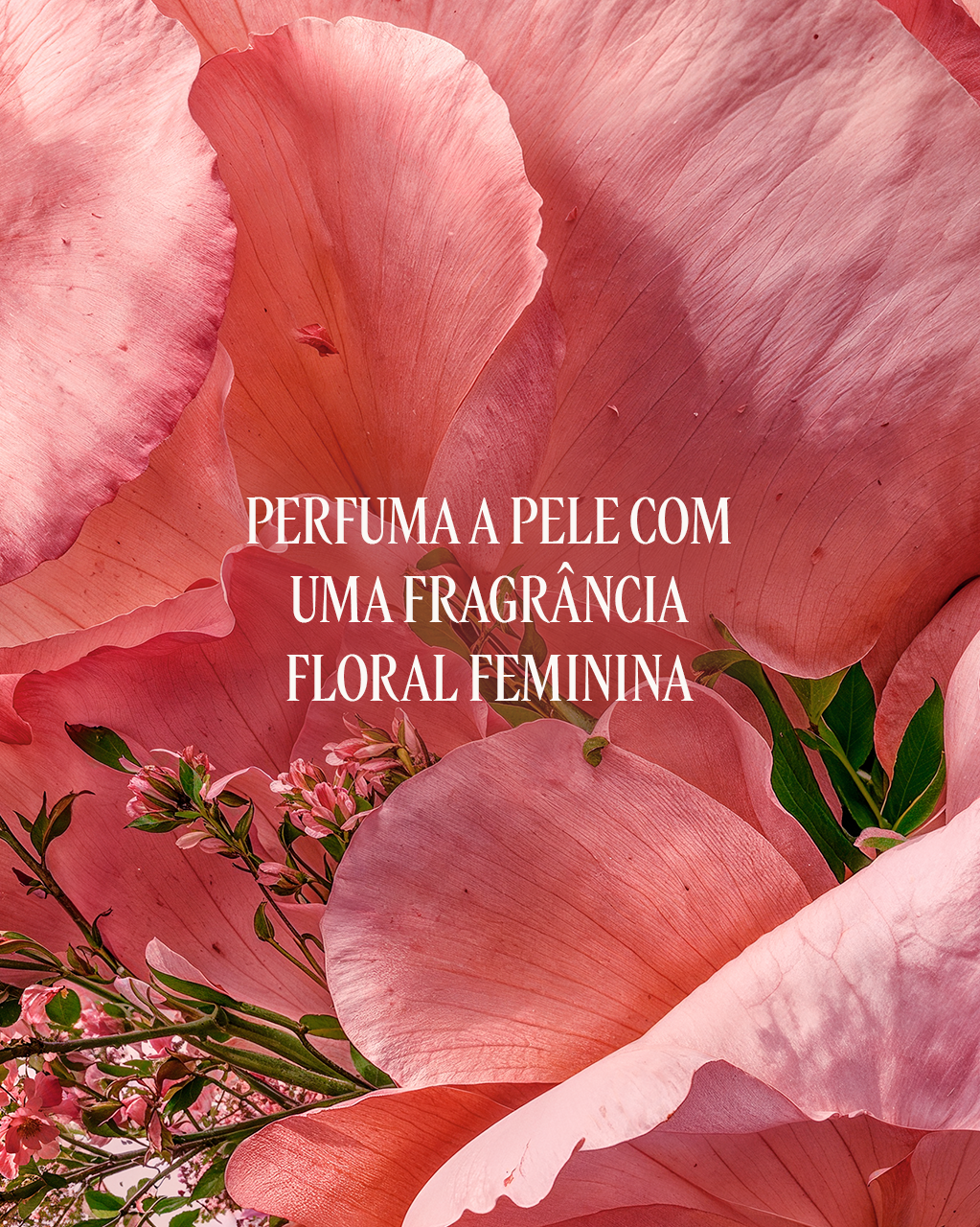 Eau de Toilette Rose 50mL (Rosas) | L'Occitane en Provence